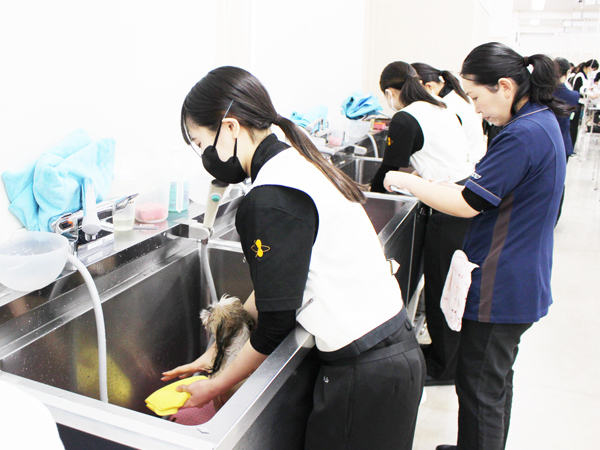 シャンプーの技術を確認♪